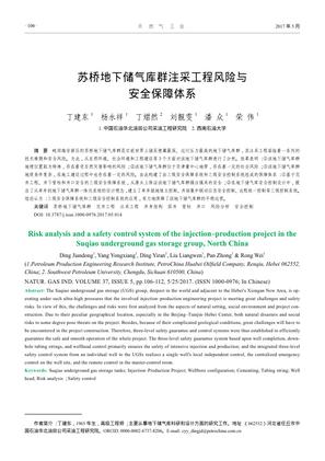 苏桥地下储气库群注采工程风险与安全保障体系