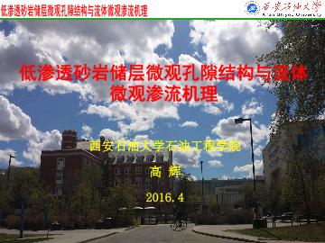 低渗透砂岩储层微观孔隙结构与流体微观渗流机理