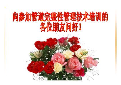 油气管道失效模式及完整性管理技术概述